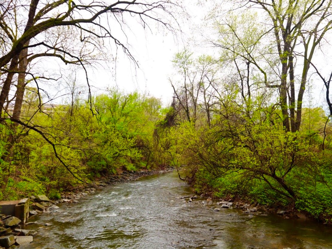 Creek in DC