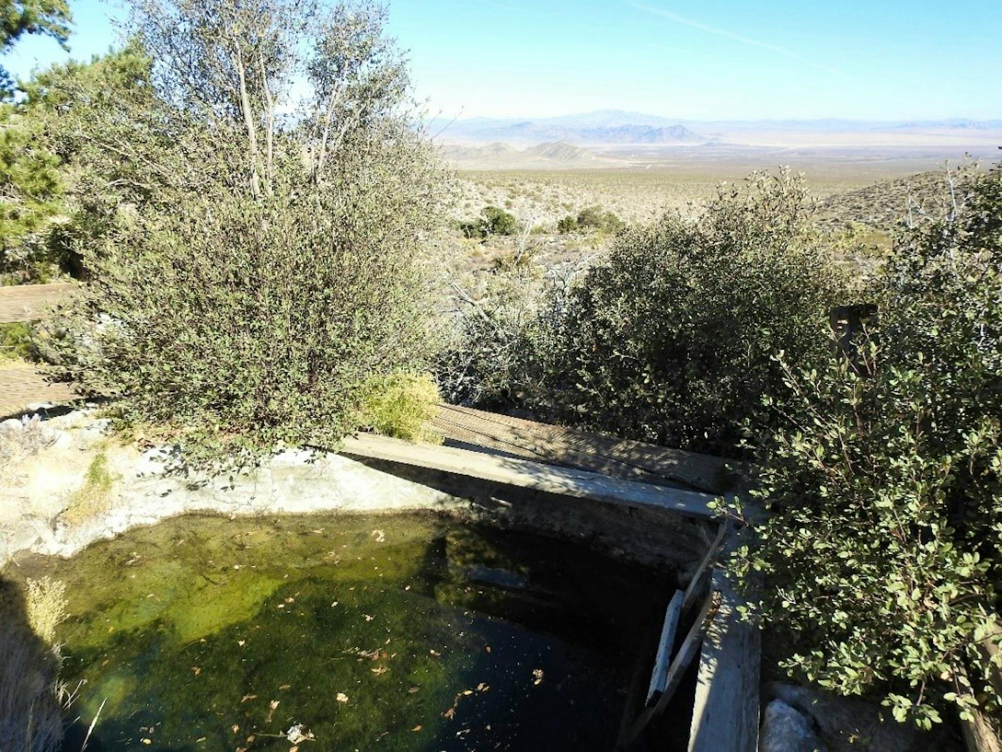 Terrace Spring next to the Rattlesnake Cattle Allotment