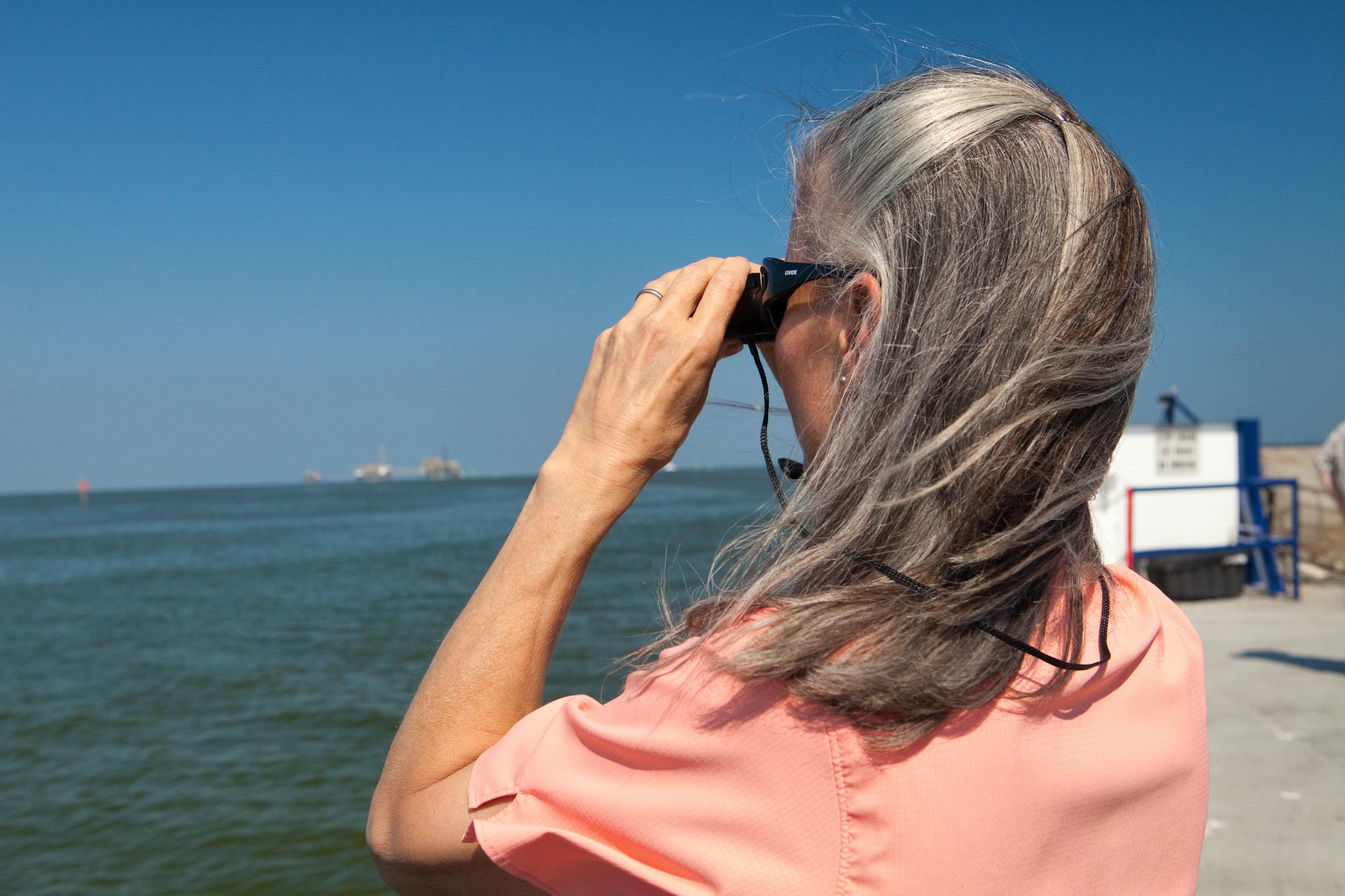 Jamie Rappaport Clark looking out over mobile bay after the BP oil spill 