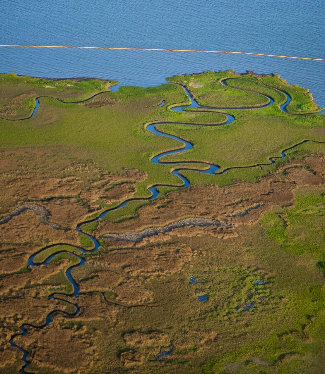 Grand bay with oil boom after BP oil spill