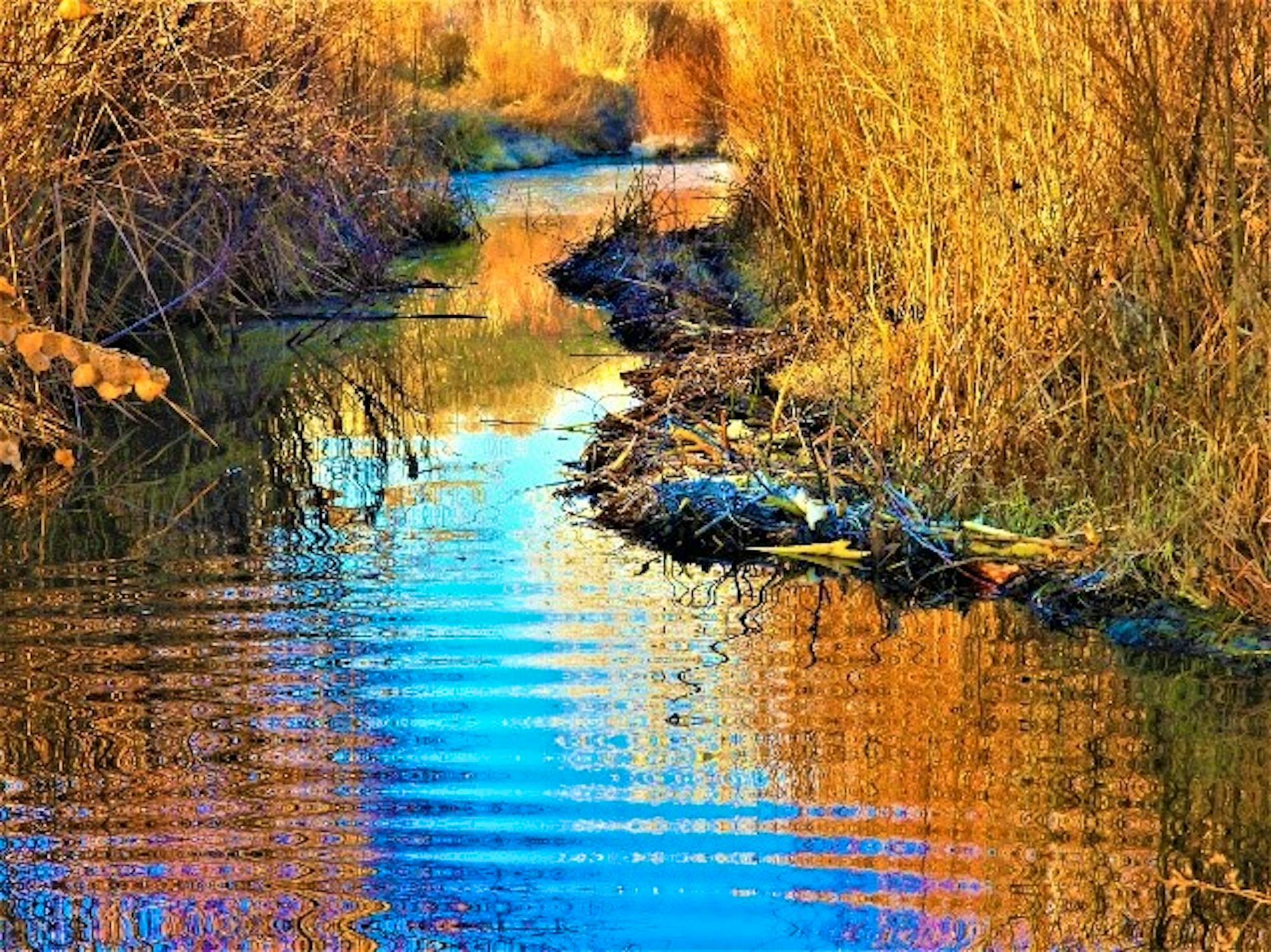 2020.01.25 Palisades Ranch Nature Reserve walk wetland 