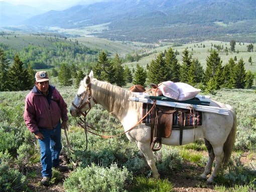 A herder and his horse make a trip to put up fladry to protect sheep in Wood River Idaho