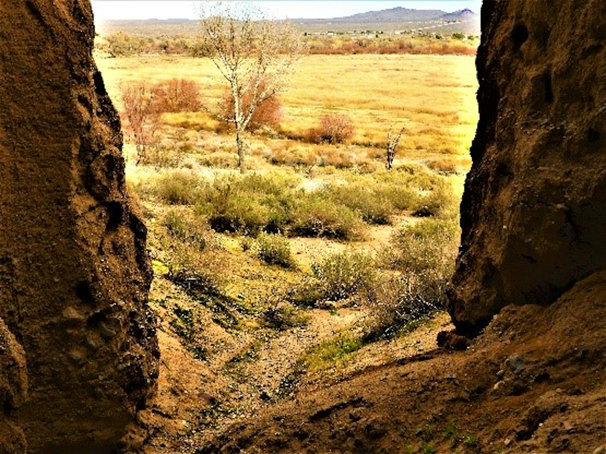 2020.01.25 Palisades Ranch Nature Reserve Walk with Tom Egan/Defenders of Wildlife