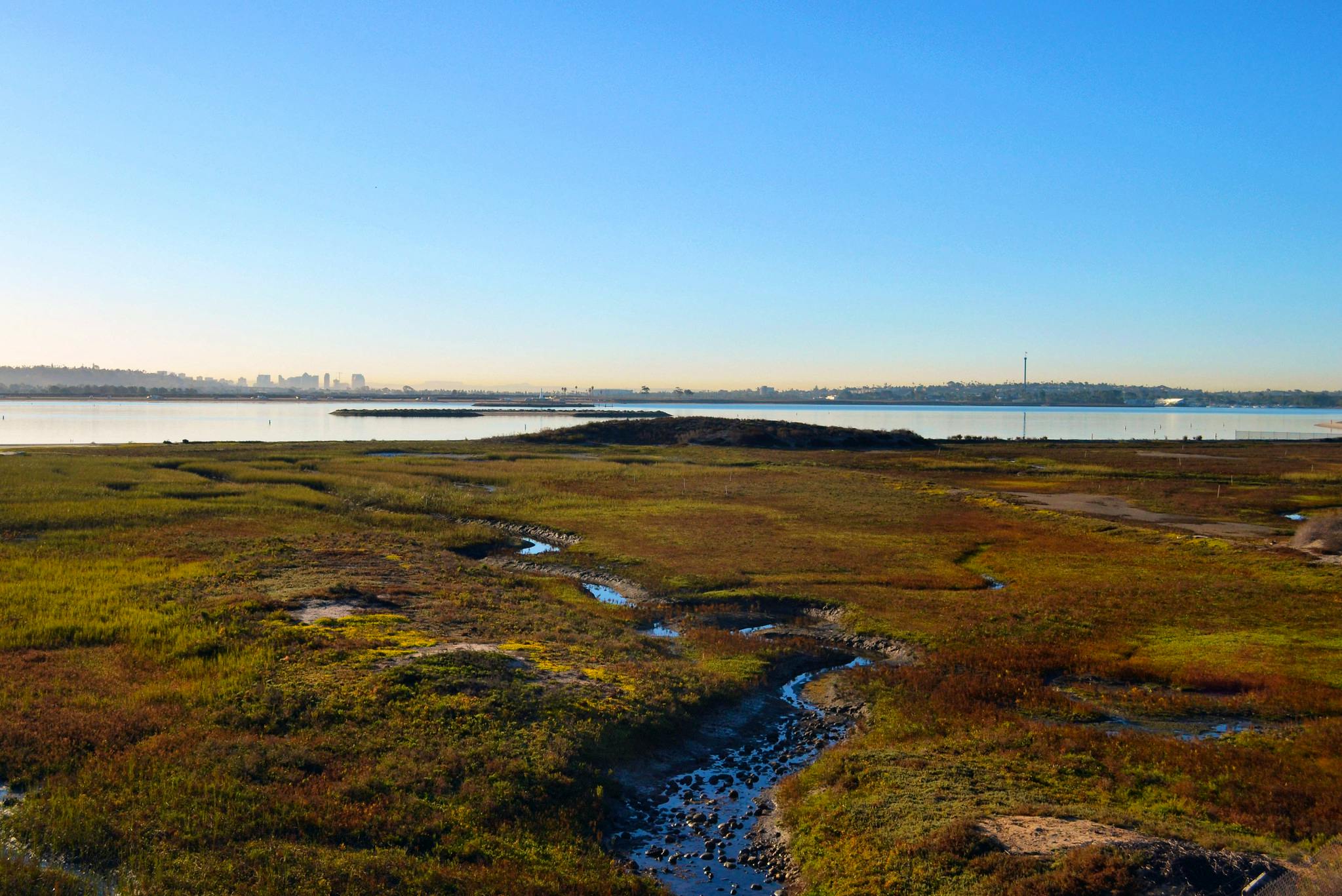 Mission Bay Wetlands in San Diego, CA