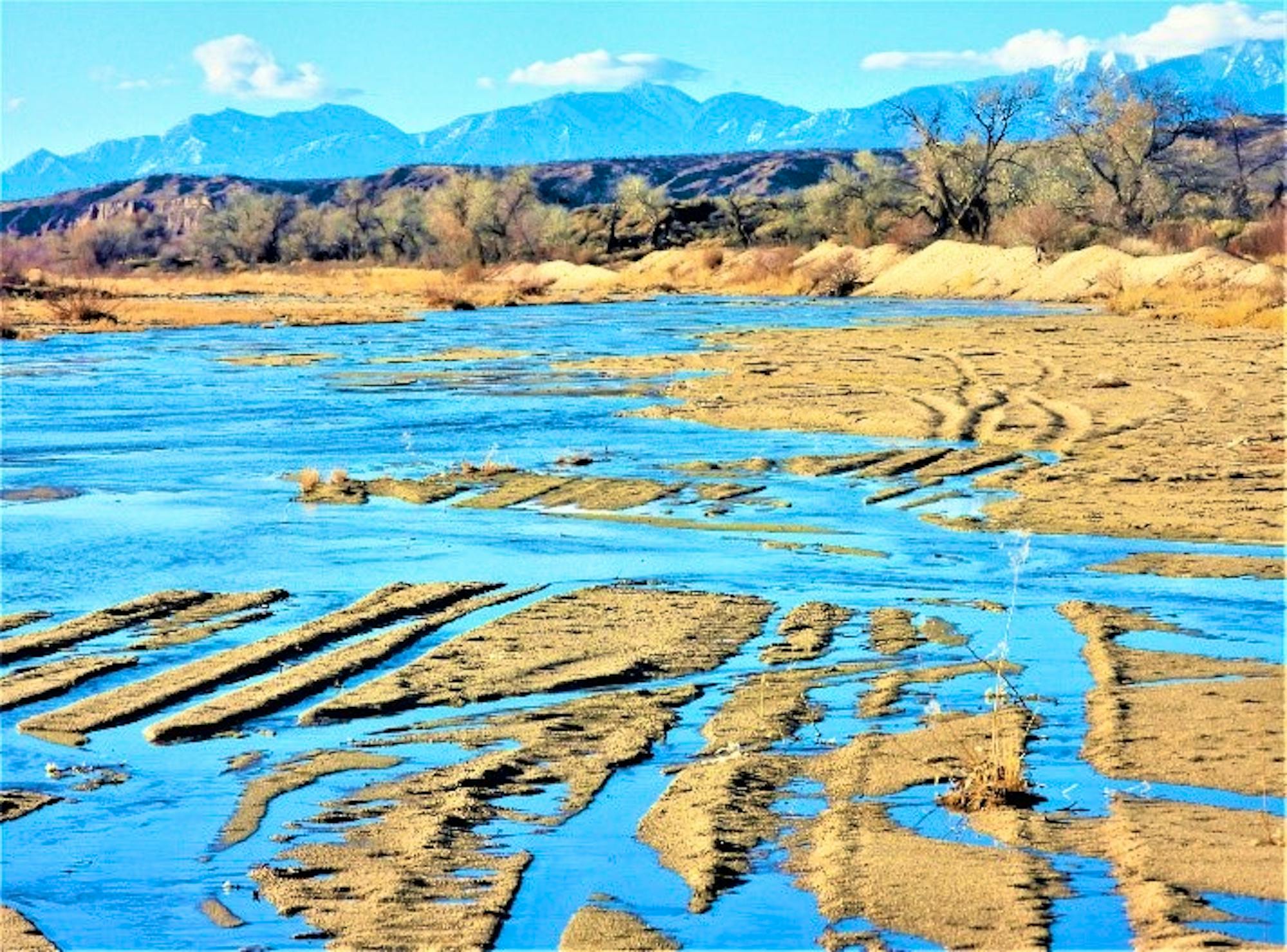 2020.01.24 Offroad use california Tom Egan/Defenders of Wildlife