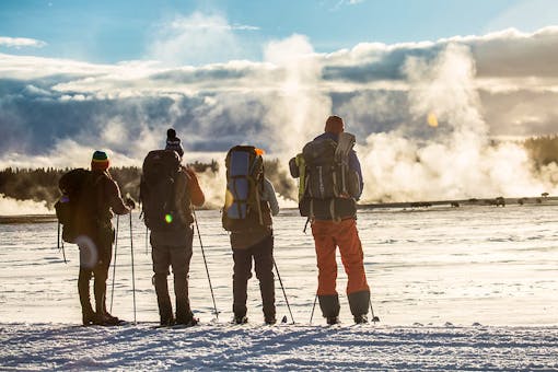 Skiers watch bison from the road, Lower Geyser Basin Yellowstone NP