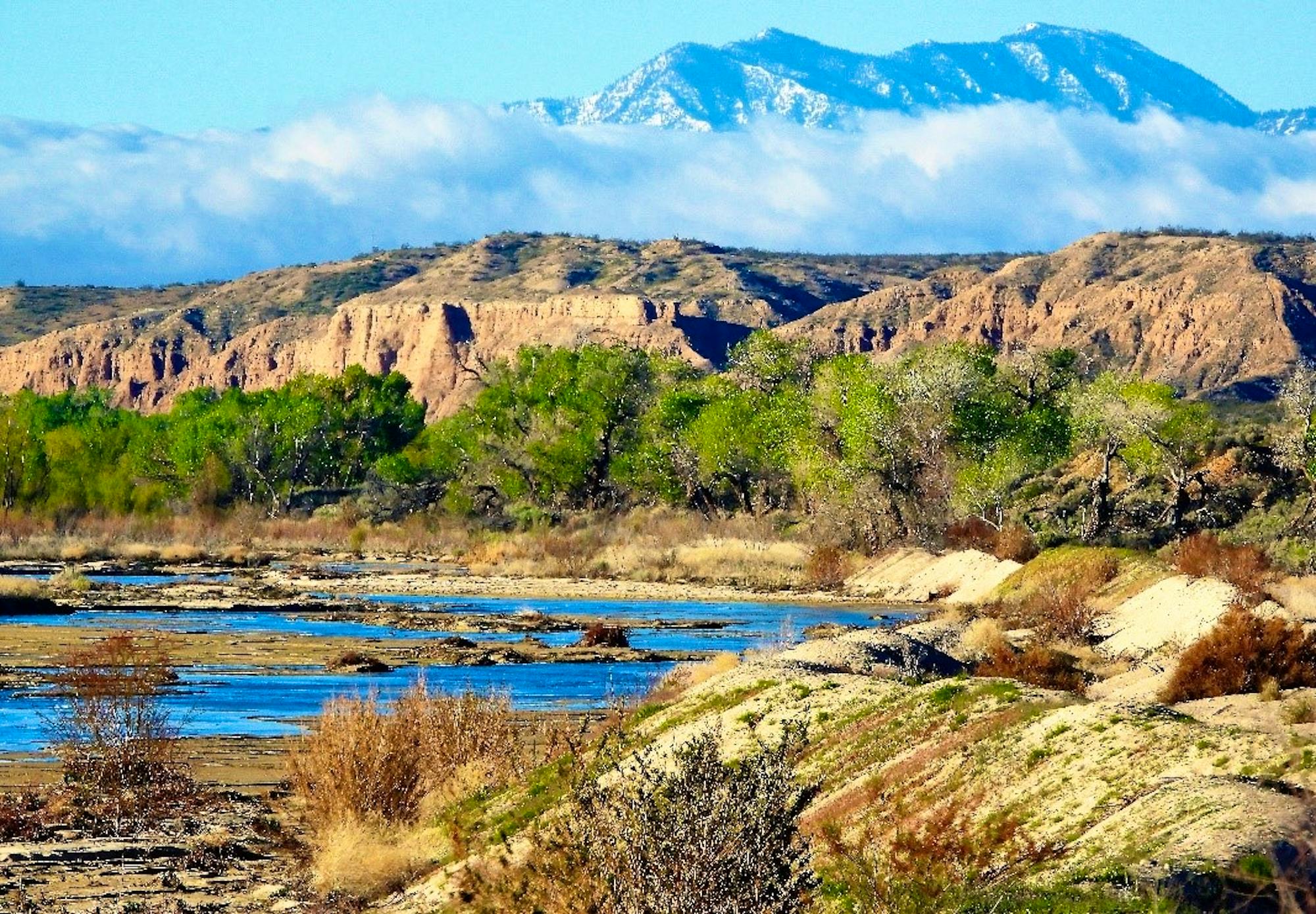 2020.01.25 Palisades Ranch Nature Reserve Walk with Tom Egan/Defenders of Wildlife