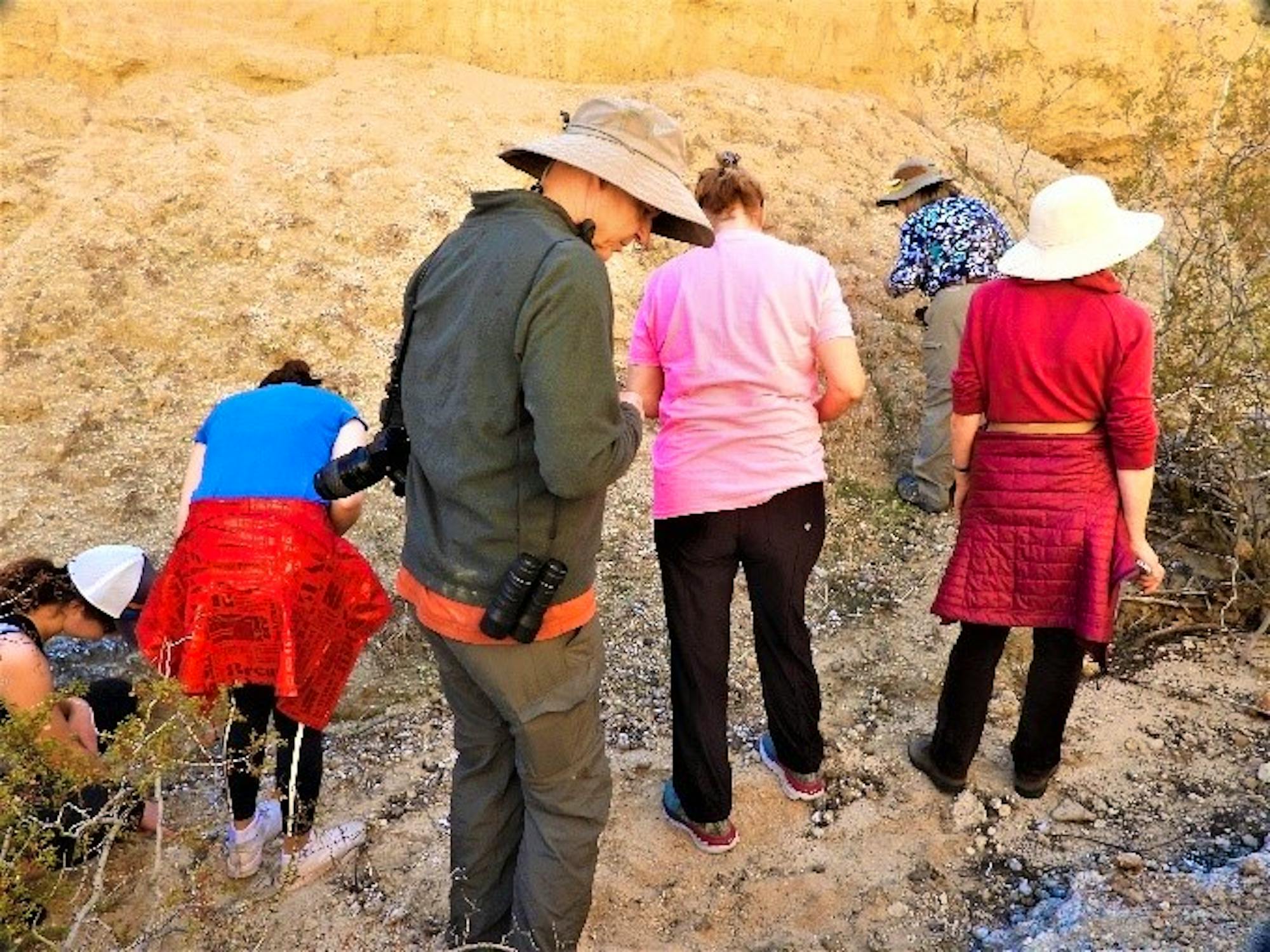 2020.01.25 Palisades Ranch Nature Reserve Helendale, California walk with Tom Egan/Defenders of Wildlife