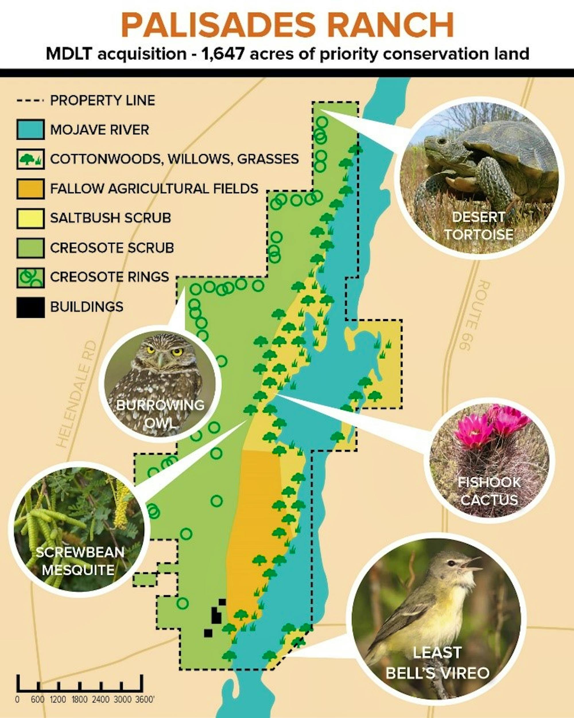 Palisades Ranch map with wildlife