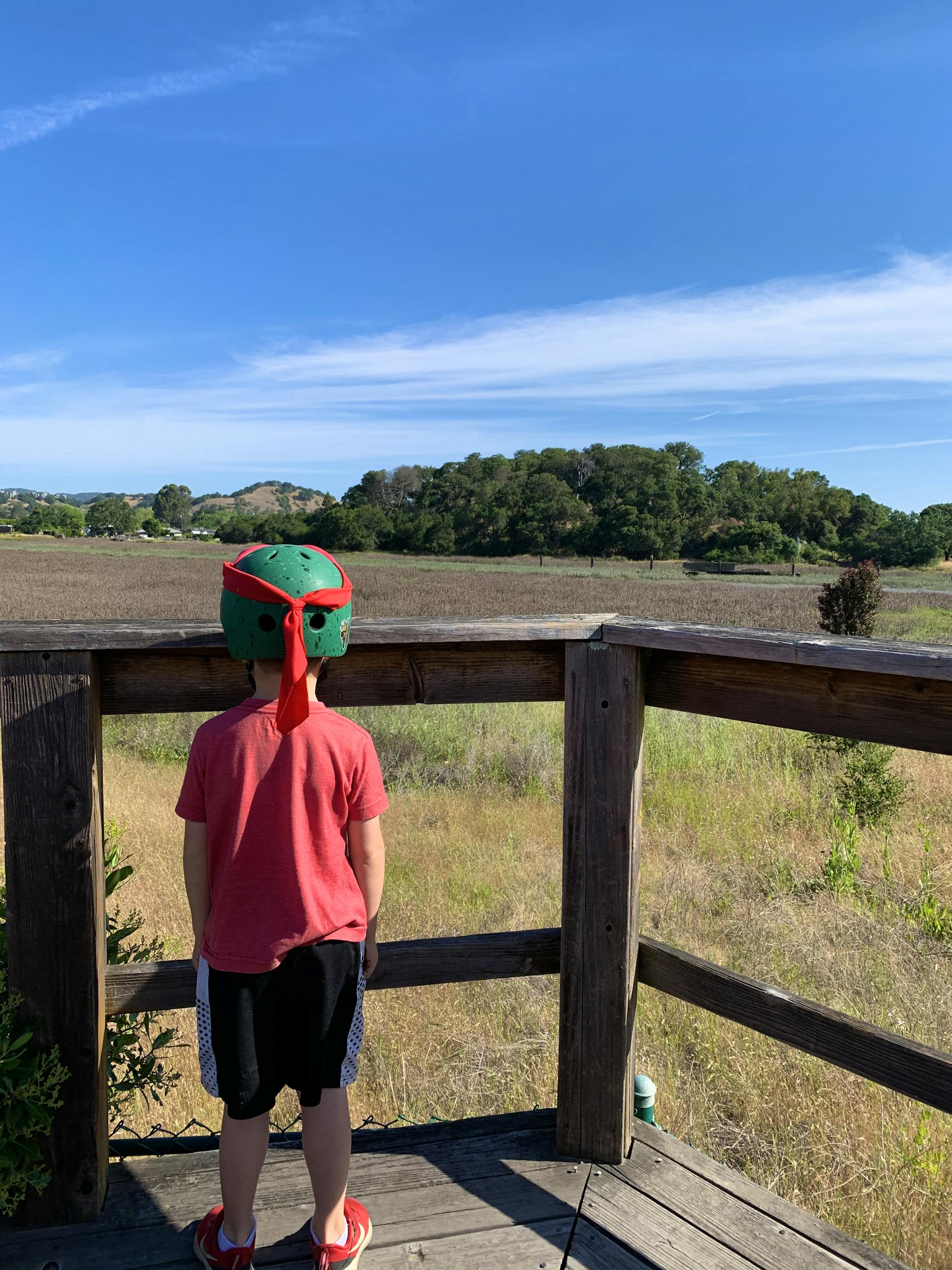 San Rafael Marsh CA 