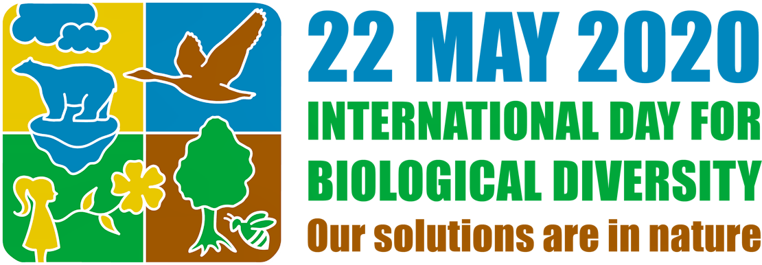 International Day for Biological Diversity 2020 logo