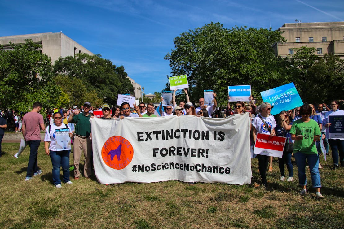 Climate Strike DC - Defenders with Extinction is Forever Banner