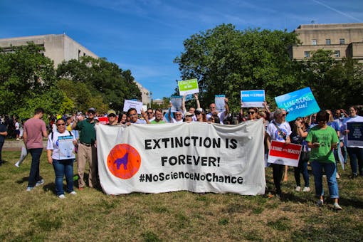  Climate Strike DC - Defenders with Extinction is Forever Banner 