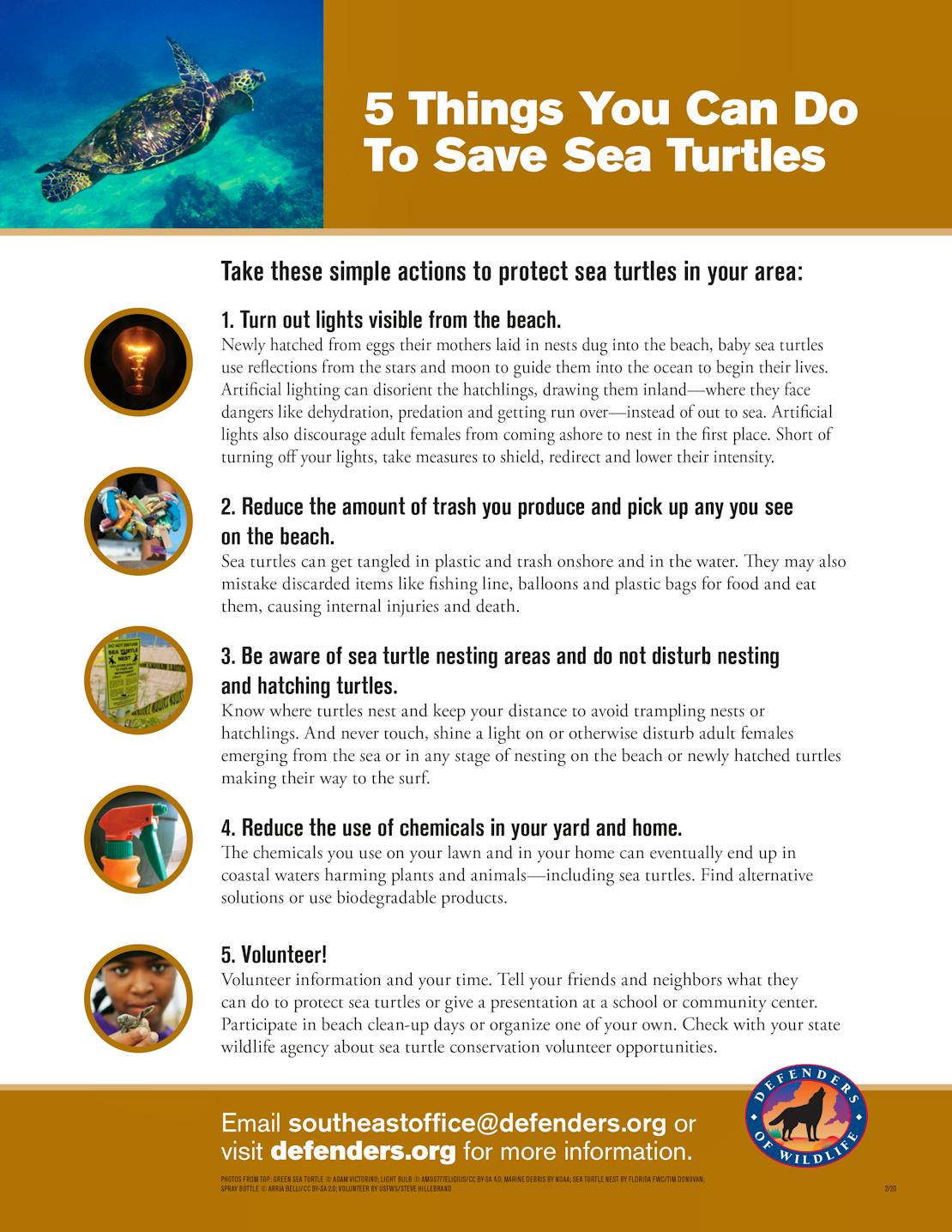 Five 5 things you can do to save sea turtles