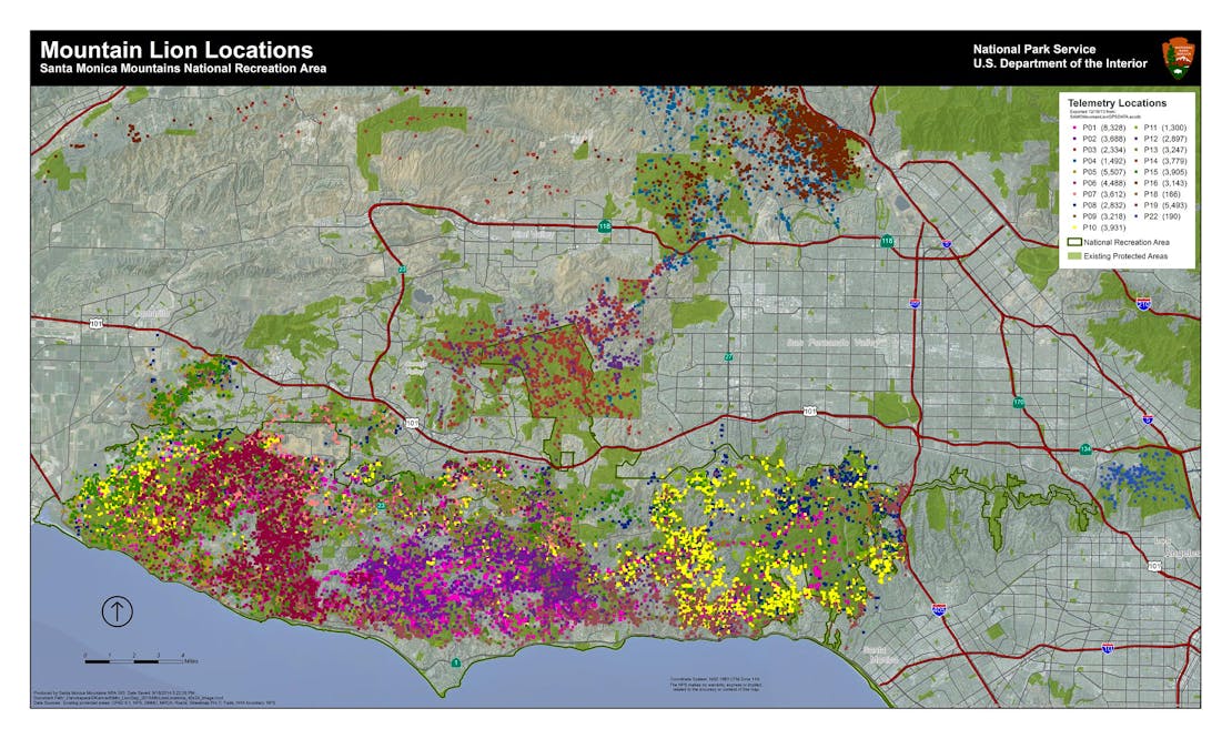 This map reflects the GPS data points of lions P-1 through P-22, from the start of research in 2002 through December 2013. Each color represents a different mountain lion.