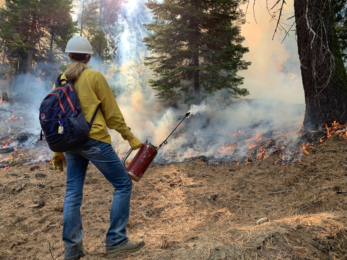 Southern Sierra Prescribed Fire Council - Flick Facing Away from Camera with Flame Tank and Smokey Forest - California - Northwest