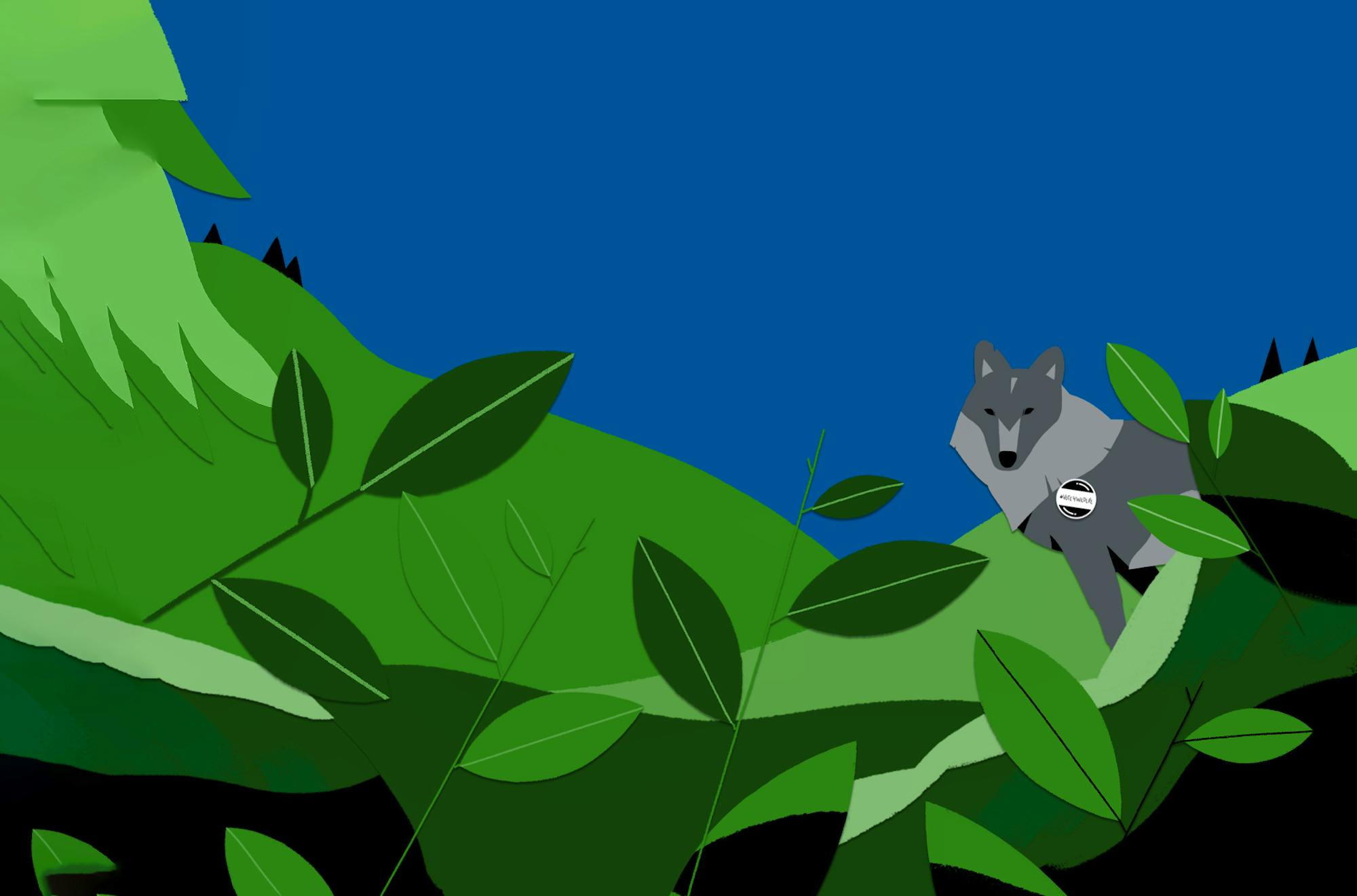 Vote for wildlife wolf
