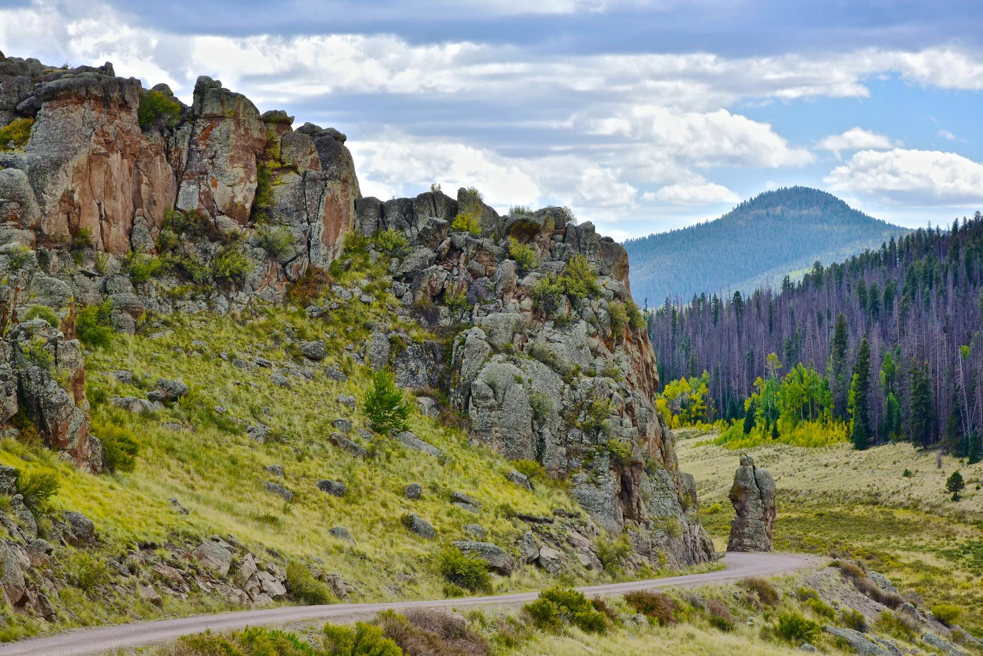 County Road 41G Rio Grande National Forest