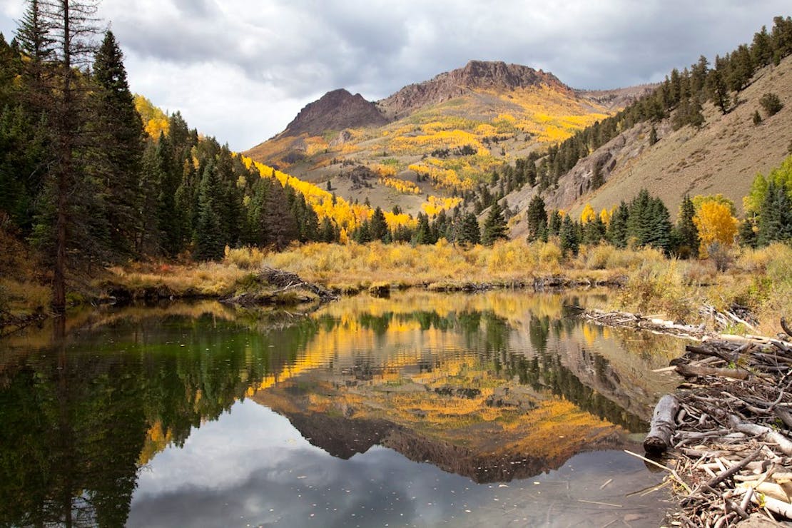 Aspens are reflected in Shallow Creek west of Creede, CO