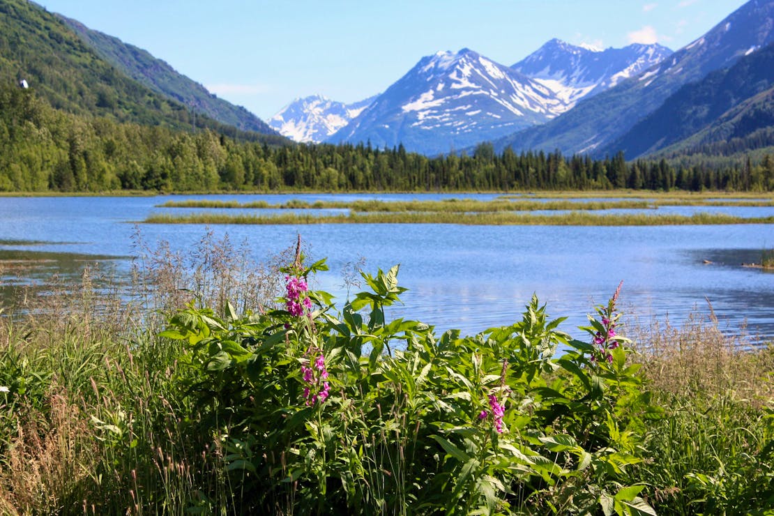 Kenai Peninsula, AK. Junction of Seward and Sterling Hwy