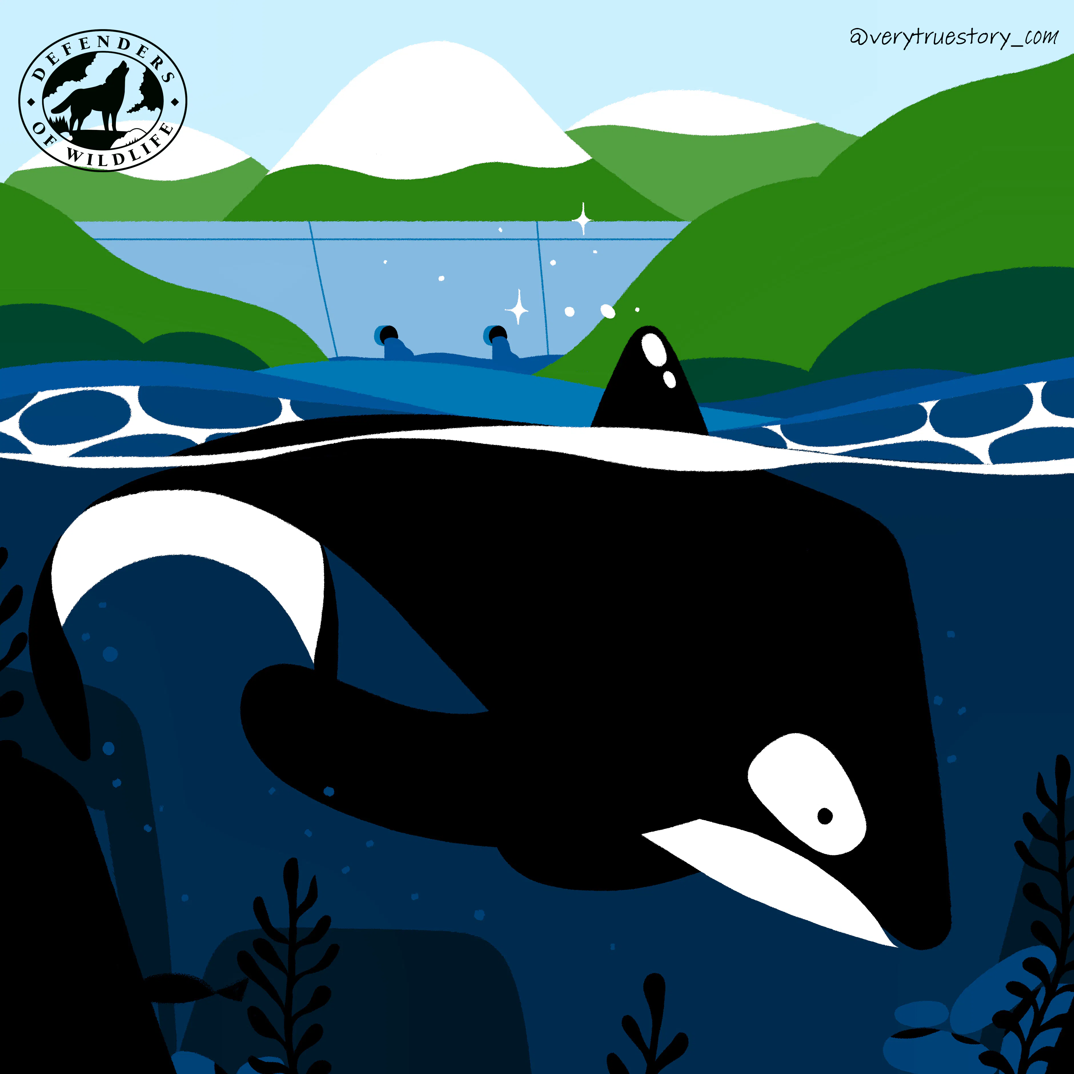 vote for wildlife orca