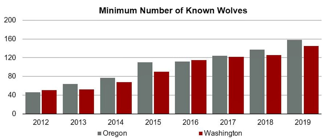 Graph of minimum number of gray wolves in Oregon and Washington 2012-2019