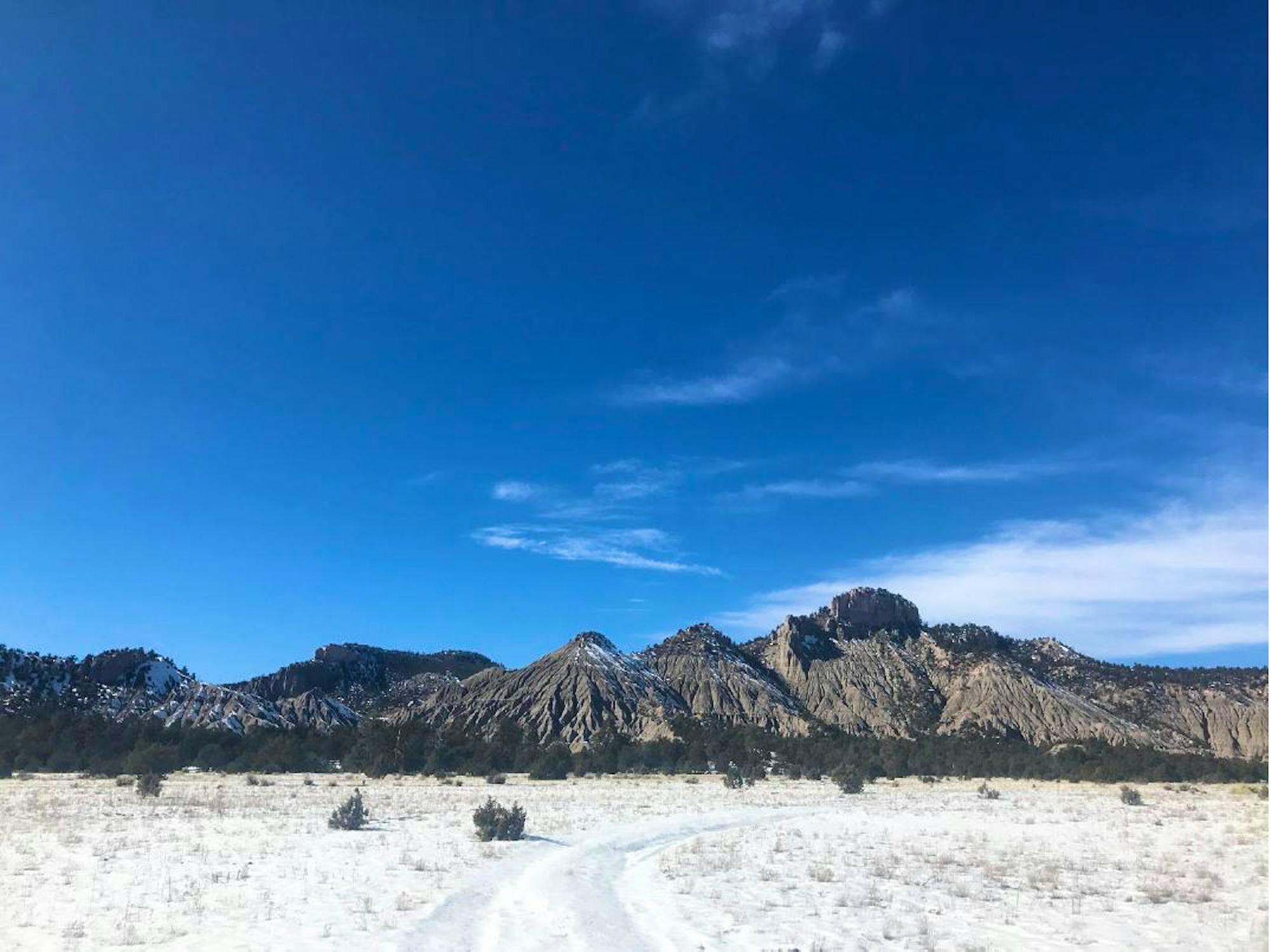 New Mexico in January