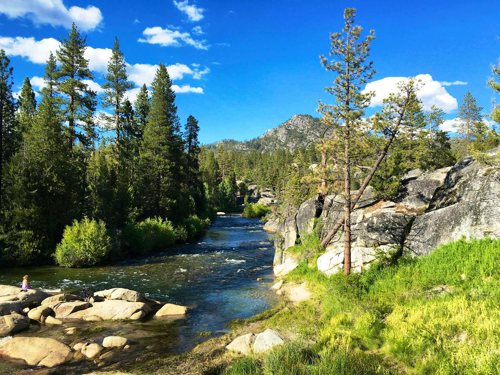 San Joaquin River in Sierra NF