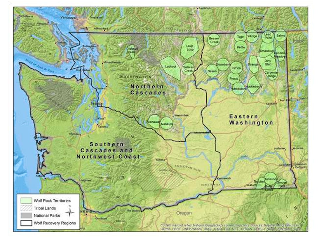 WA wolf map from 2019