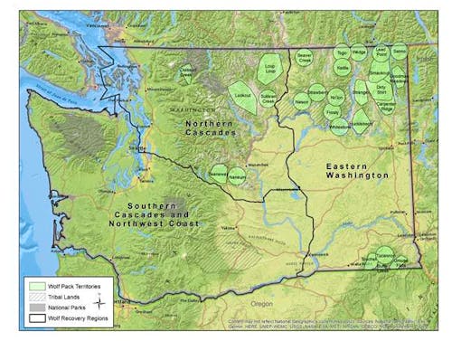 WA wolf map from 2019