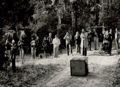 Historic red wolf release