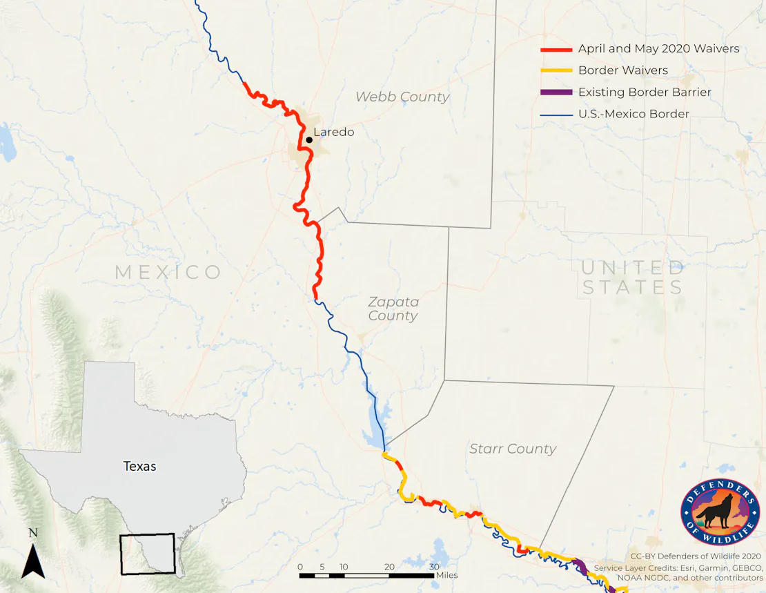 The Owl and the Bear: A Wildlife Tragedy Unfolding on the Texas-Mexico ...