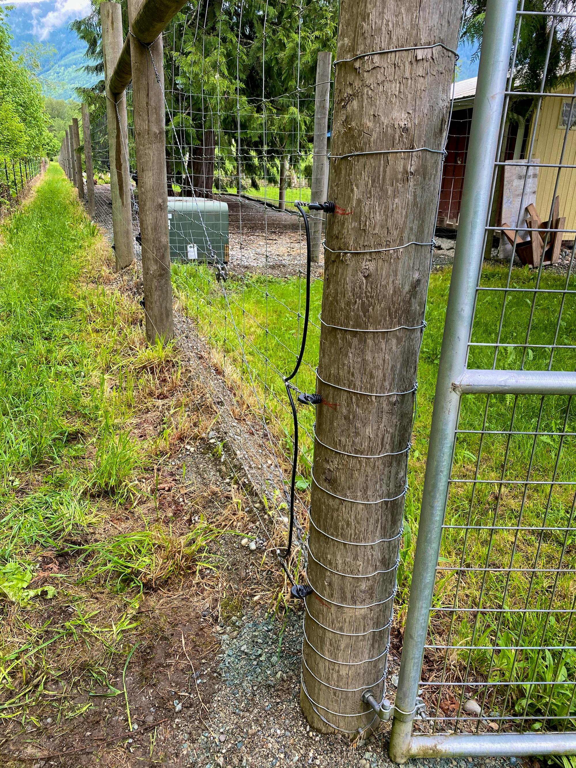 Electric fence on sauk farm