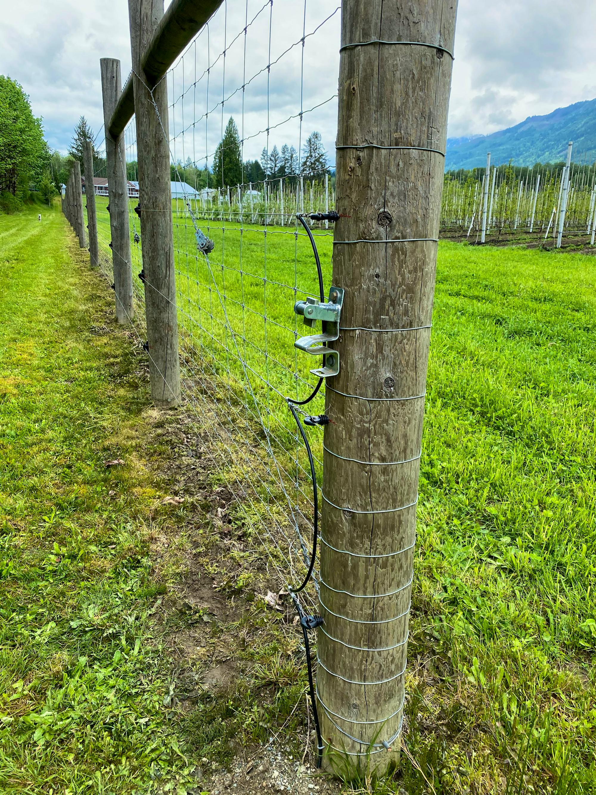 Electric fence on sauk farm