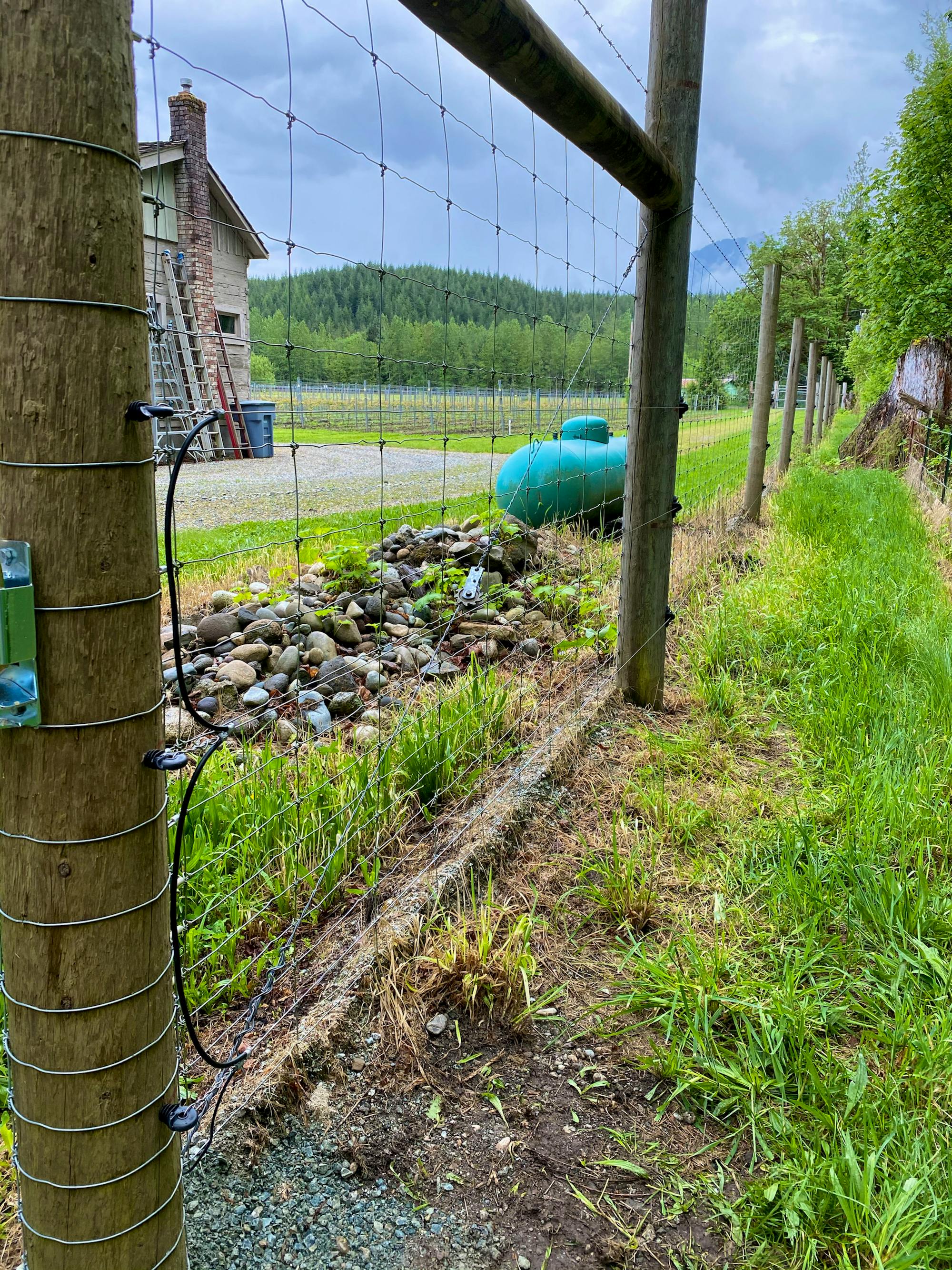 Electric fence on sauk farm