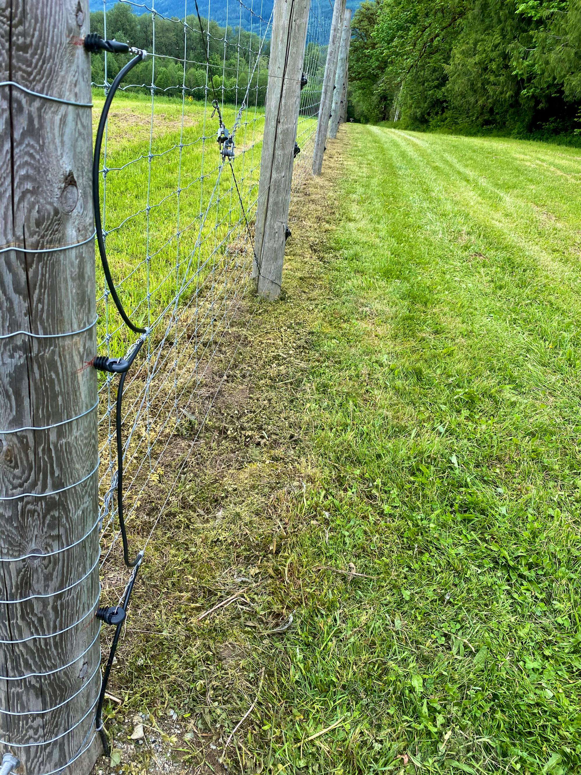 Electric fence on sauk farm