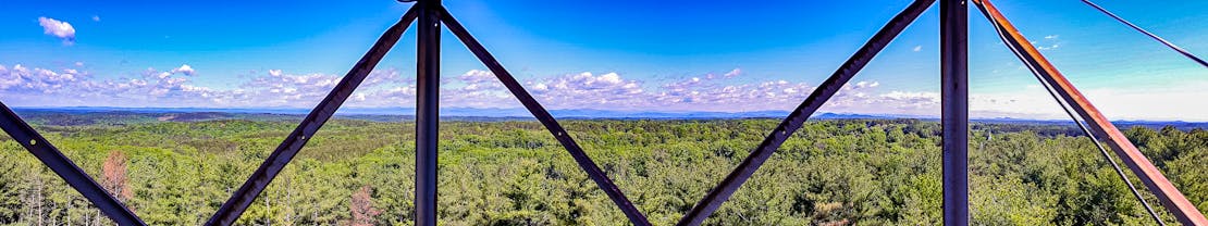 View from a fire tower