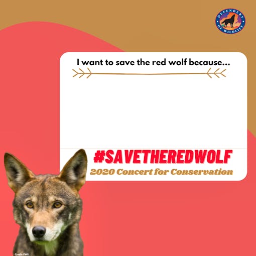 Red wolf advocacy campaign