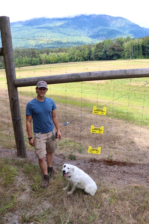 Griffin and spot by the new sauk farm electric fence