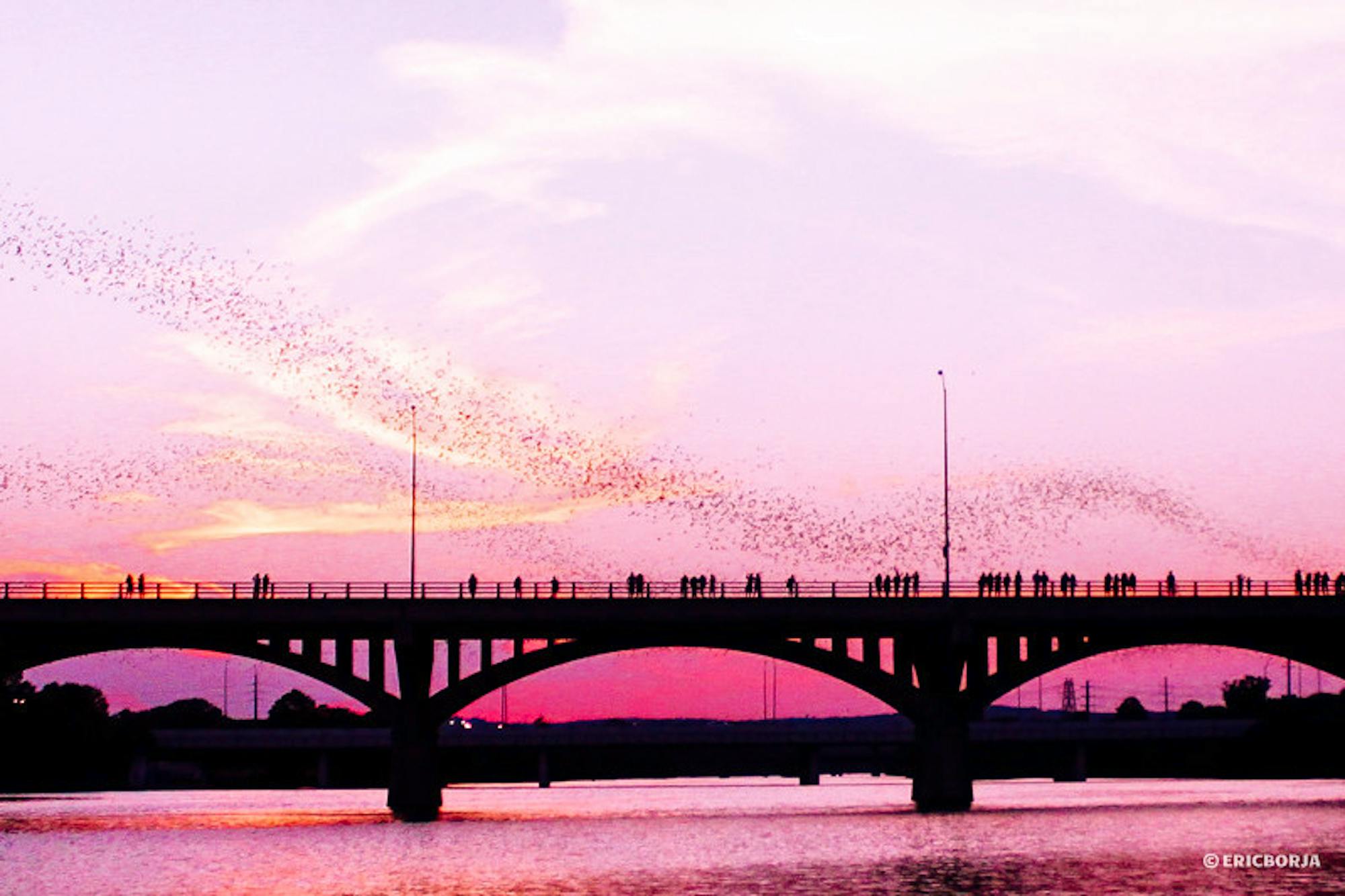 Congress Avenue Bridge with mexican free-tailed bats in Austin, Texas