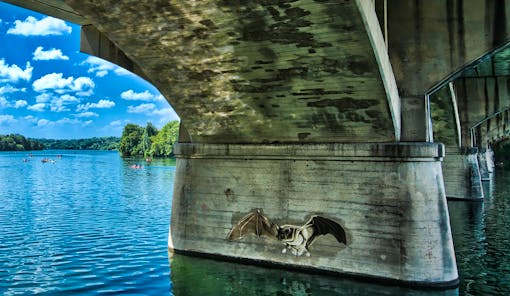 Bat Bridge, Austin TX Congress Street Bridge 