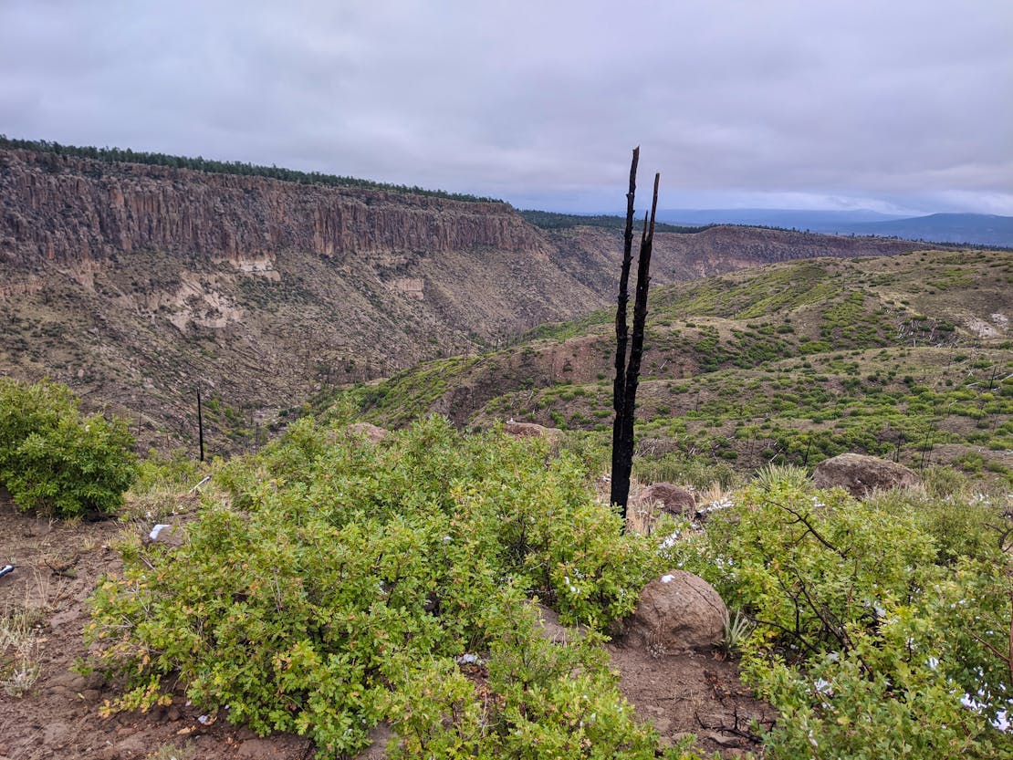 SW landscape