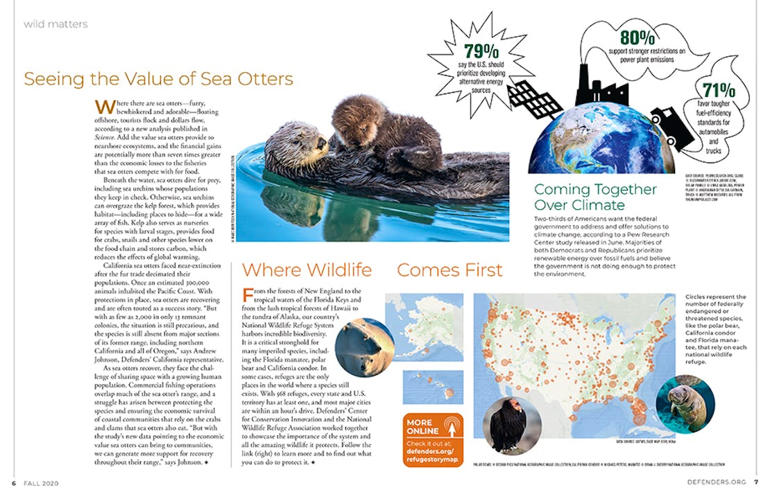 Wildlife Matter Magazine Spread