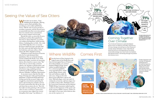 Wildlife Matter Magazine Spread