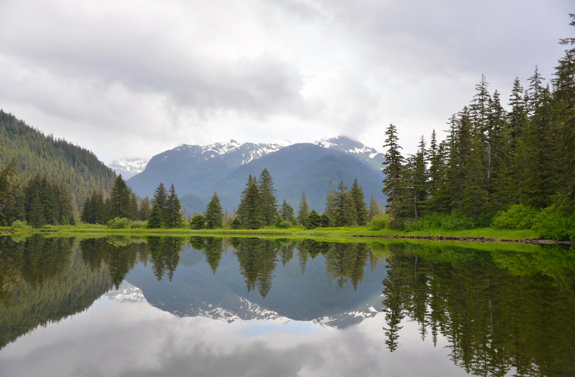 Stikine-LeConte Wilderness Area, Tongass National Forest