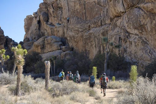 Hikers and Climbers in Joshua Tree National Park 