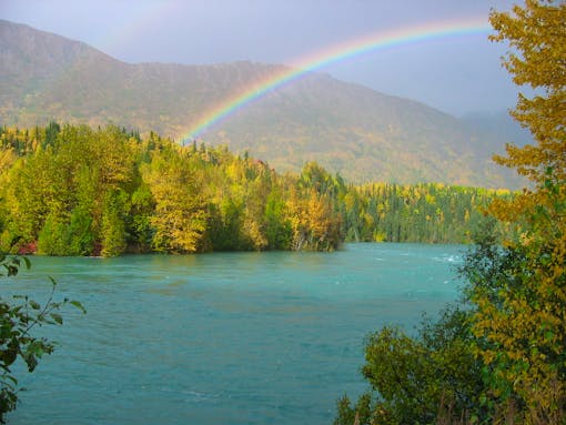 Kenai River near Cooper Landing Fall 2012 on the Kenai River near Cooper Landing between rain events