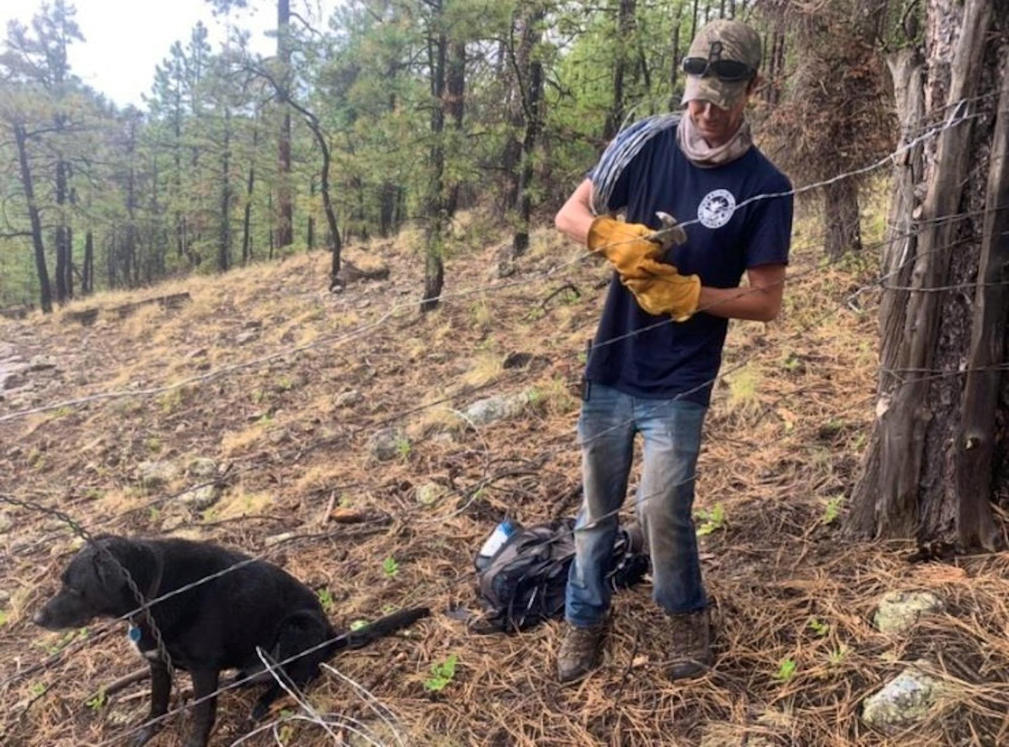 Man Fixing Fence for Cattle Pasture with dog