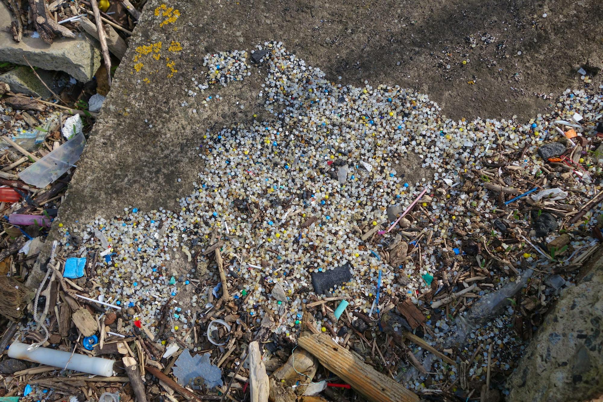 Nurdle spill Port Edgar Marina, South Queensferry