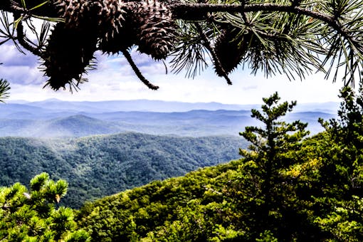 View of Pisgah National Forest through the trees